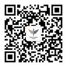 优游国际UB8 Vision Plus Capital